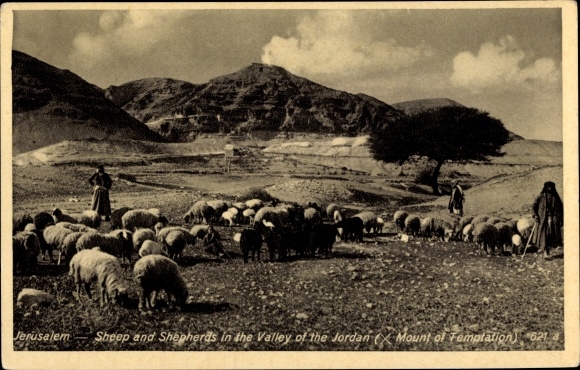 Postal de pastores con ovejas