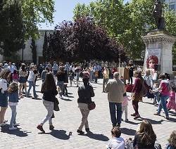 En Albacete exigían prohíbir un acto religioso en una plaza: el obispo reaccionó rápidamente