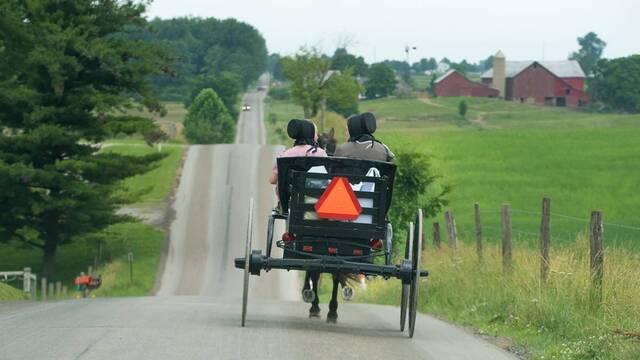 Carreta amish en una carretera de asfalto.