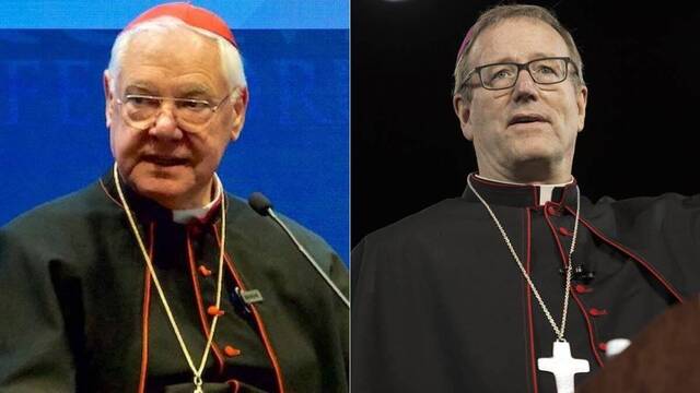 El cardenal Gerhard Müller y el obispo Robert Barron.