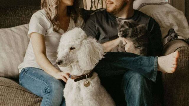 Una pareja sentada en un sofá con un perro y un gato.