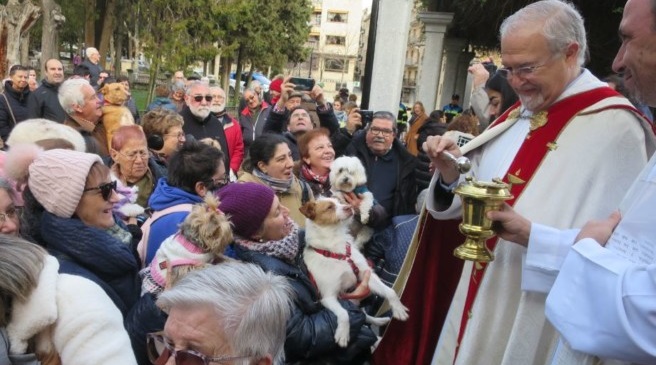 Bendición de las mascotas el día de San Antón
