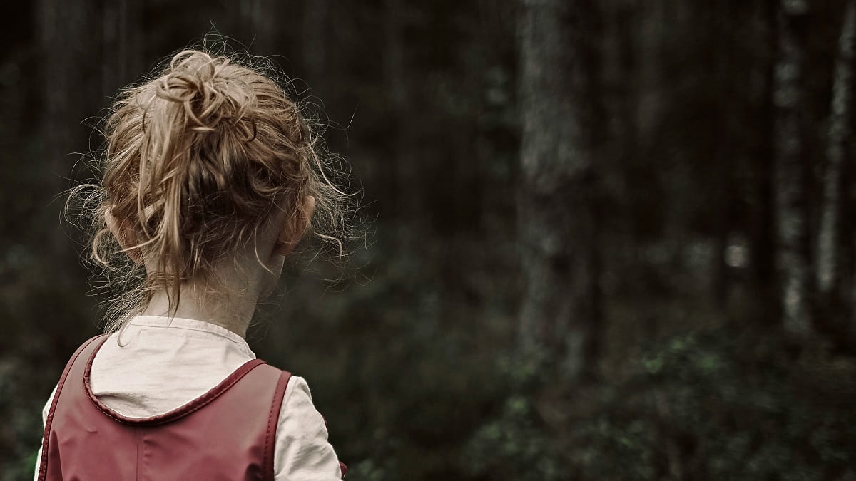 Niña sola mira un bosque tenebroso, símbolo del daño de la ruptura familiar, foto de Fredrik Solli Wandem en Unsplash