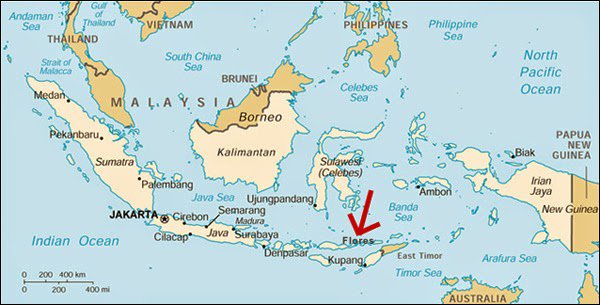 La isla de Flores, y al sur de Flores, Timor: son las dos únicas regiones de Indonesia con mayoría católica, por haber estado bajo dominio portugués.