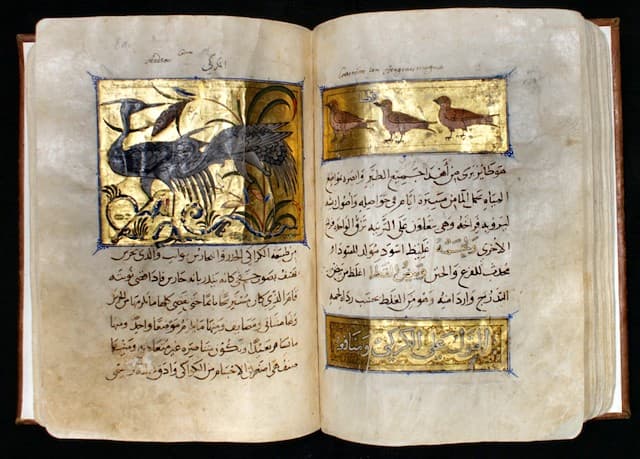 Ejemplar de “Libro de las utilidades de los animales” de la Biblioteca Laurentina (Imagen cedida por J.L. del Valle, Director Real Biblioteca del Monasterio del Escorial).