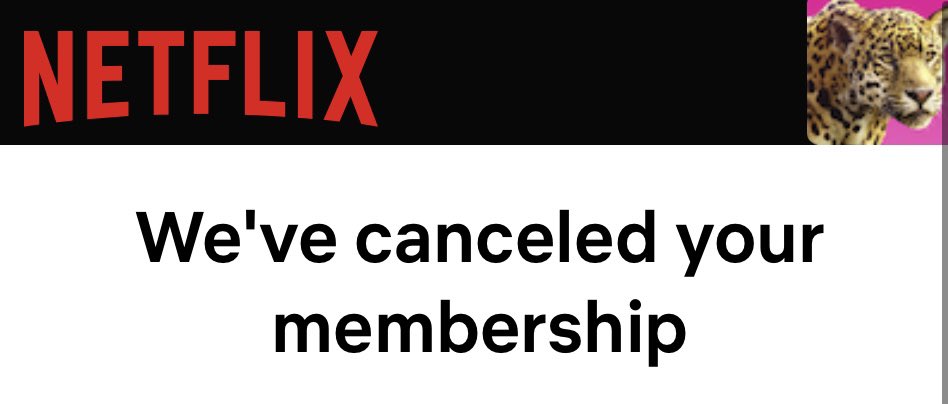  Netflix: `We've canceled your membership´. 