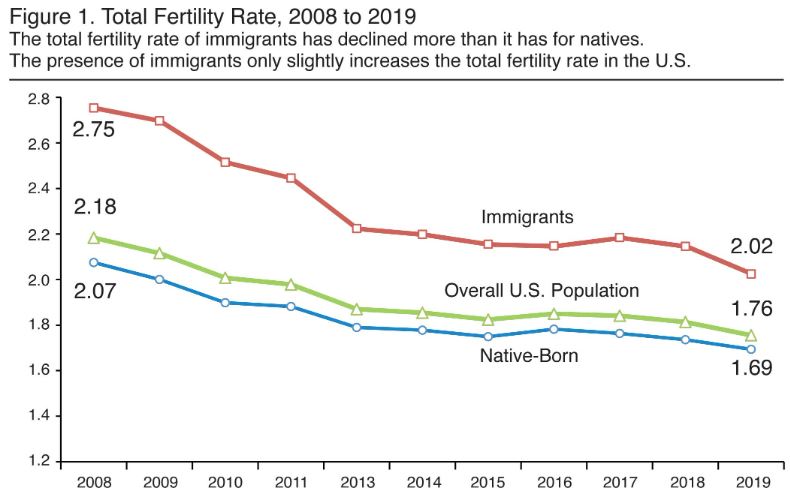 Fertilidad en Estados Unidos entre 2008 y 2019: la de los estadounidenses nativos cae un 18,35% (de 2,07 a 1,69), la de los inmigrantes cae un 26,54% (de 2,75 a 2,02). Tienden a igualarse, por lo cual el aporte es solo temporal. Fuente: Center for Inmigration Studies.