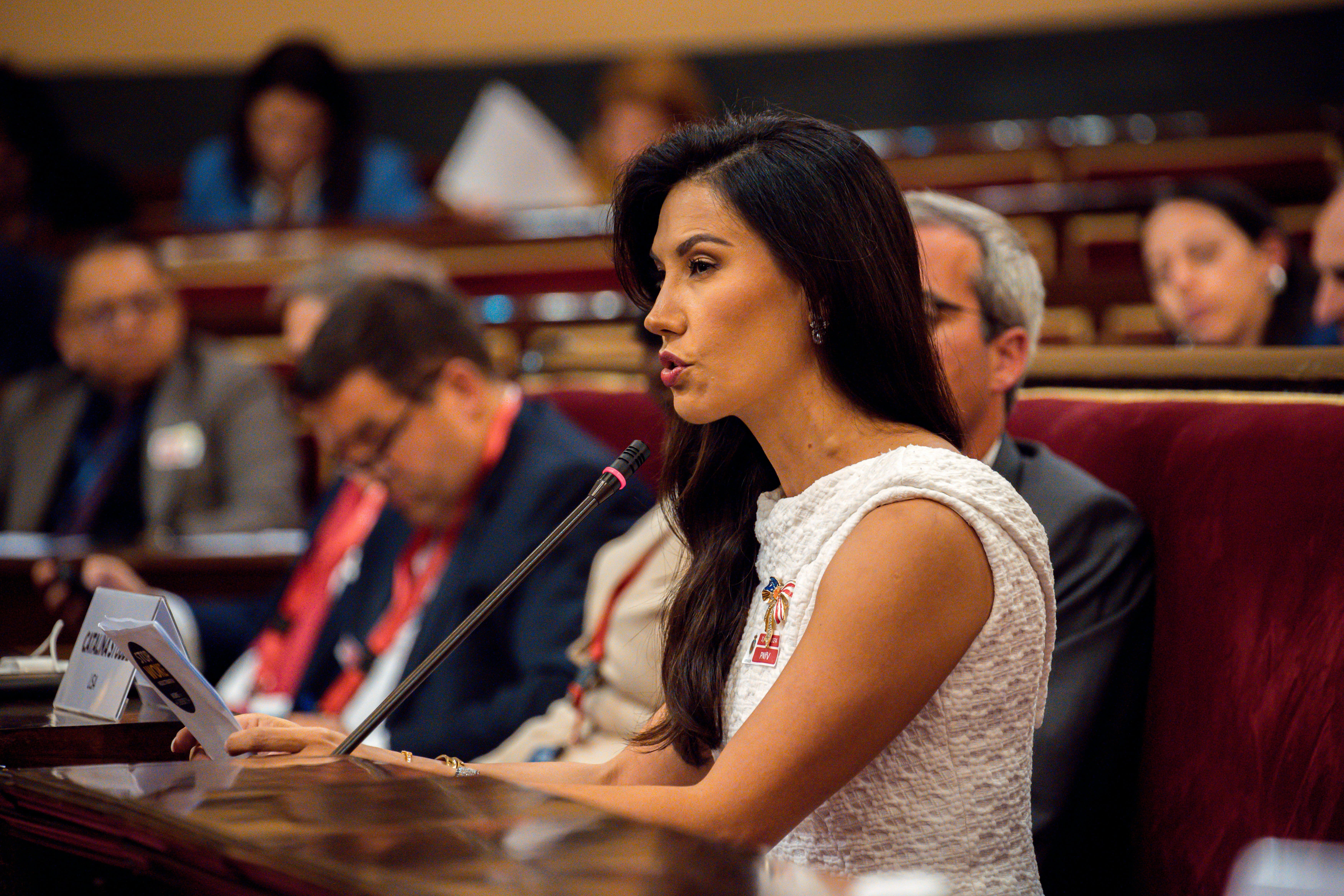 Cumbre provida Senado