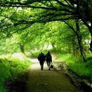 El Papa pide que el Camino de Santiago sea un espacio para evangelizar a los alejados