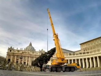 Árbol en el Vaticano: llegó el Adviento