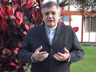 Sínodo de la Amazonia, ¿sacerdotes casados?