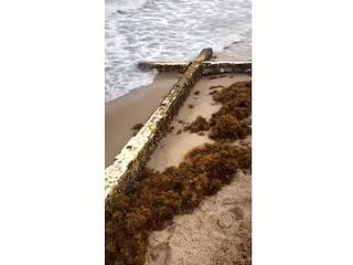 Una Cruz que apareció en el mar