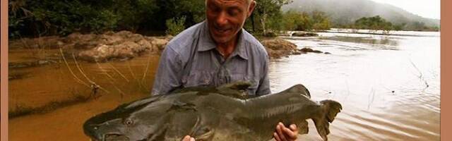 Jeremy Wade, del programa de TV Monstruos de Río, con un pez gato del Nilo... en Jerusalén los comían aunque Levítico lo prohibía