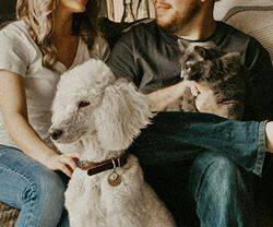 Una pareja sentada en un sofá con un perro y un gato.