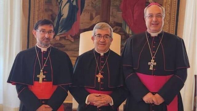 Los obispos españoles Argüello, Cobo y Magán en su visita al Papa en Roma