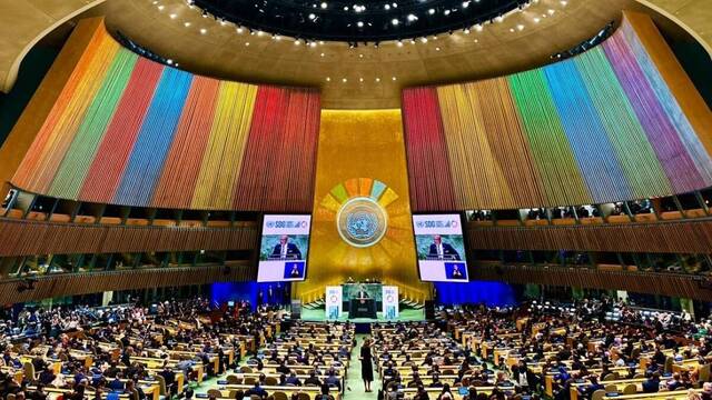 Asamblea General de Naciones Unidas. 