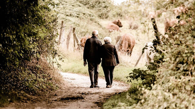 Pareja