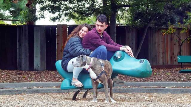 Una pareja con un perro en un parque infantil.