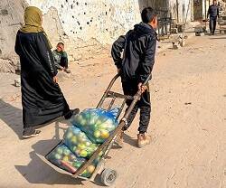 Vecinos de la parroquia de Gaza llevan su lote de frutas y verduras que reparte el Patriarcado y la Orden de Malta