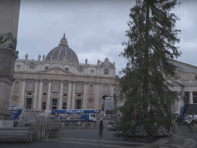 Llega la Navidad al Vaticano